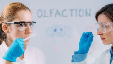 Technologie : le défi fascinant des chercheurs pour archiver et reproduire les odeurs !