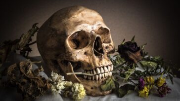 Pourquoi les hommes préhistoriques souffraient-ils moins de caries que nous aujourd'hui ?