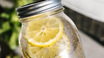 eau têtard chia graines 2