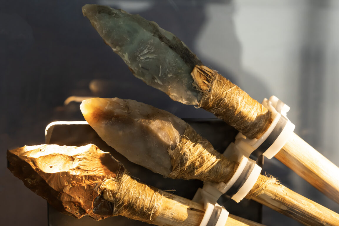 lances flèches poison préhistoire