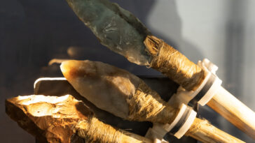 lances flèches poison préhistoire