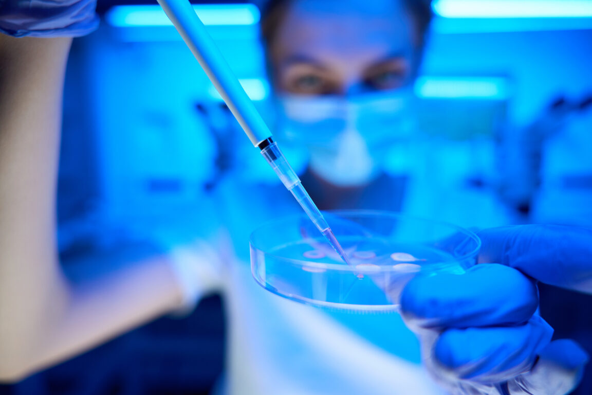 Des scientifiques parviennent à « rajeunir » les ovules vieillis de souris