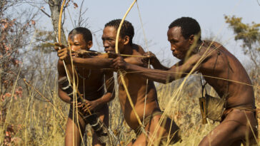 populations autochtones San et Khoe