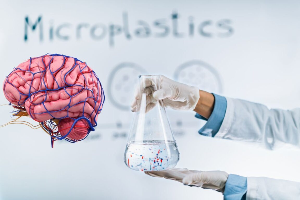 Cerveau humain avec un scientifique tenant un flacon contenant des microplastiques.