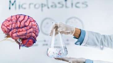 Cerveau humain avec un scientifique tenant un flacon contenant des microplastiques.