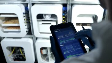 nucleus insectes végétaux mars 2