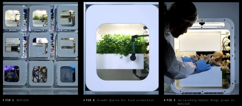 nucleus insectes végétaux mars