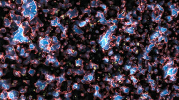 james webb réionisation