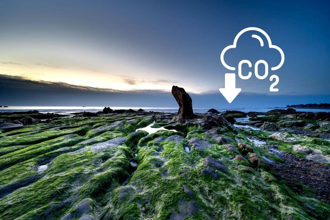 Alerte climatique : le monde frôle le point de rupture avec la 7ᵉ limite planétaire !