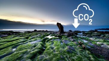 Alerte climatique : le monde frôle le point de rupture avec la 7ᵉ limite planétaire !