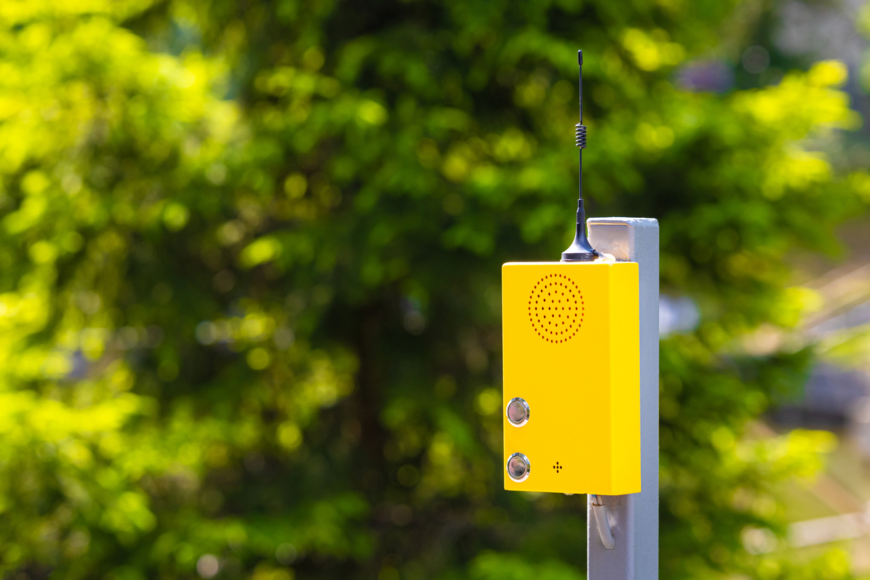 La France a mis ses forêts sur écoute : ces micros cachés traquent un ennemi invisible qui tue à petit feu
