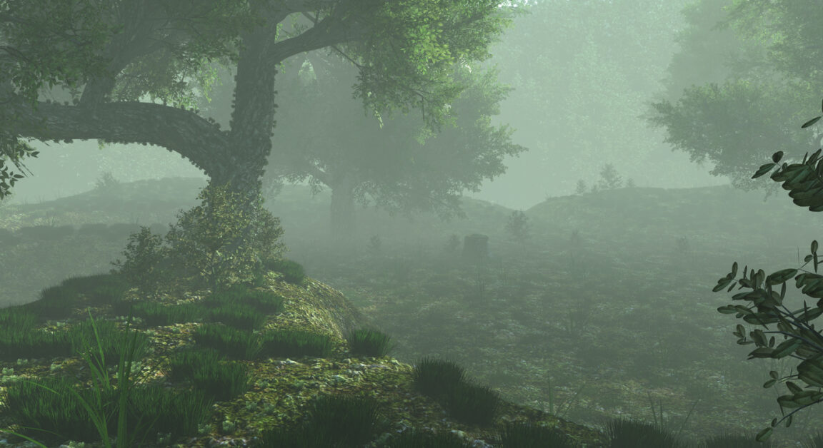 mammif&egrave;re mar&eacute;cages