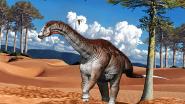 Campananeyen fragilissimus dinosaure sauropode