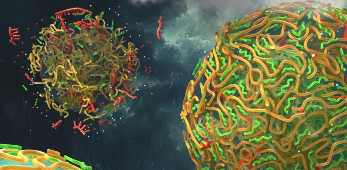 cellules vie gouttes de pluie