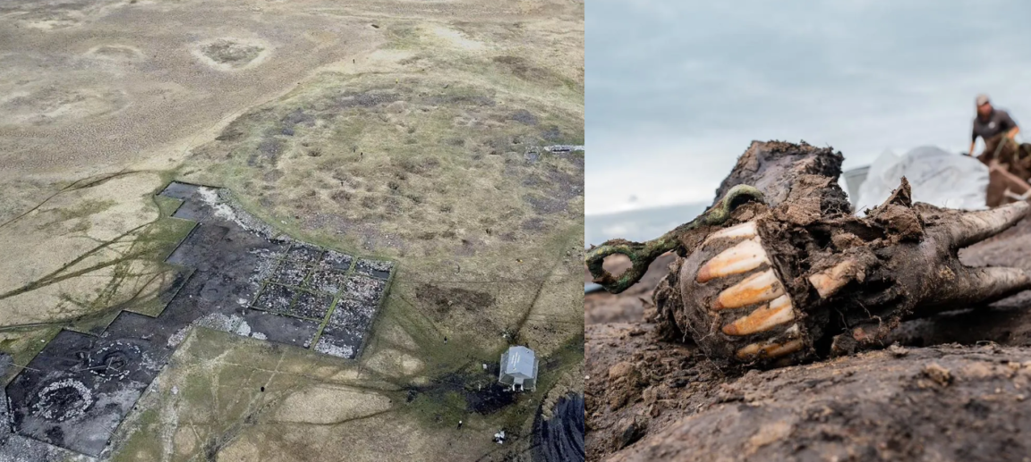 sibérie tumulus sacrifice rituel cheval