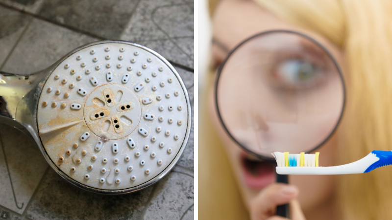 virus sur le pommeau de douche et la brosse à dent hygiène