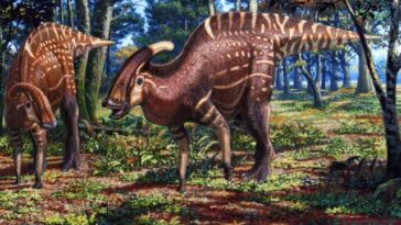 Parasaurolophus dinosaure