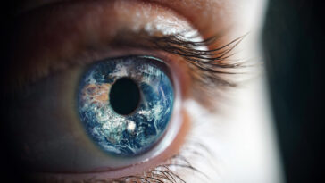 terre humains humanité évolution