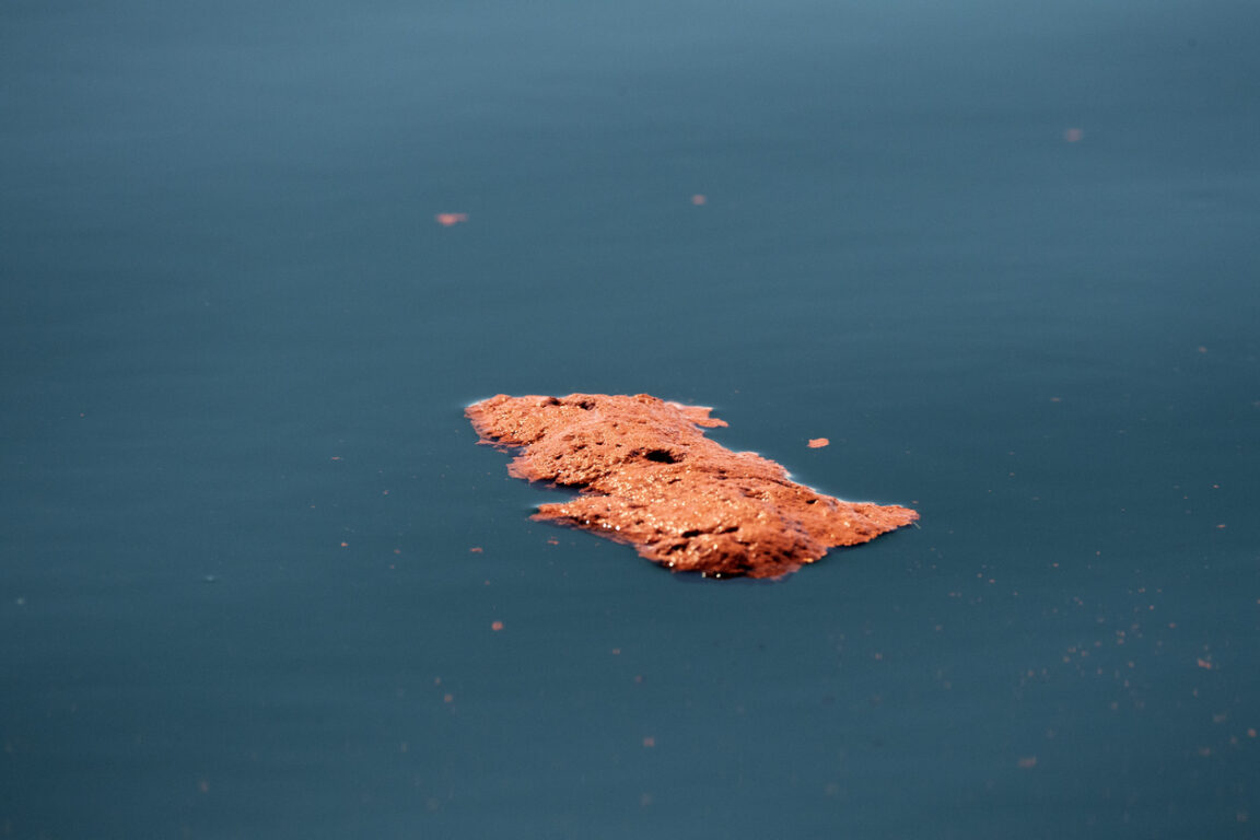 excréments de baleine
