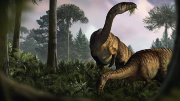 prosauropodes dinosaures herbivores