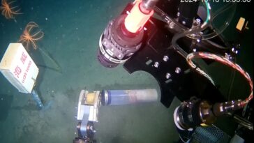 robot Chine fonds marins