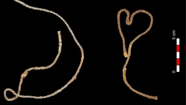 cordes flèches armes