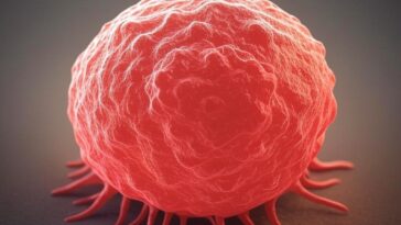 cellules cancéreuses