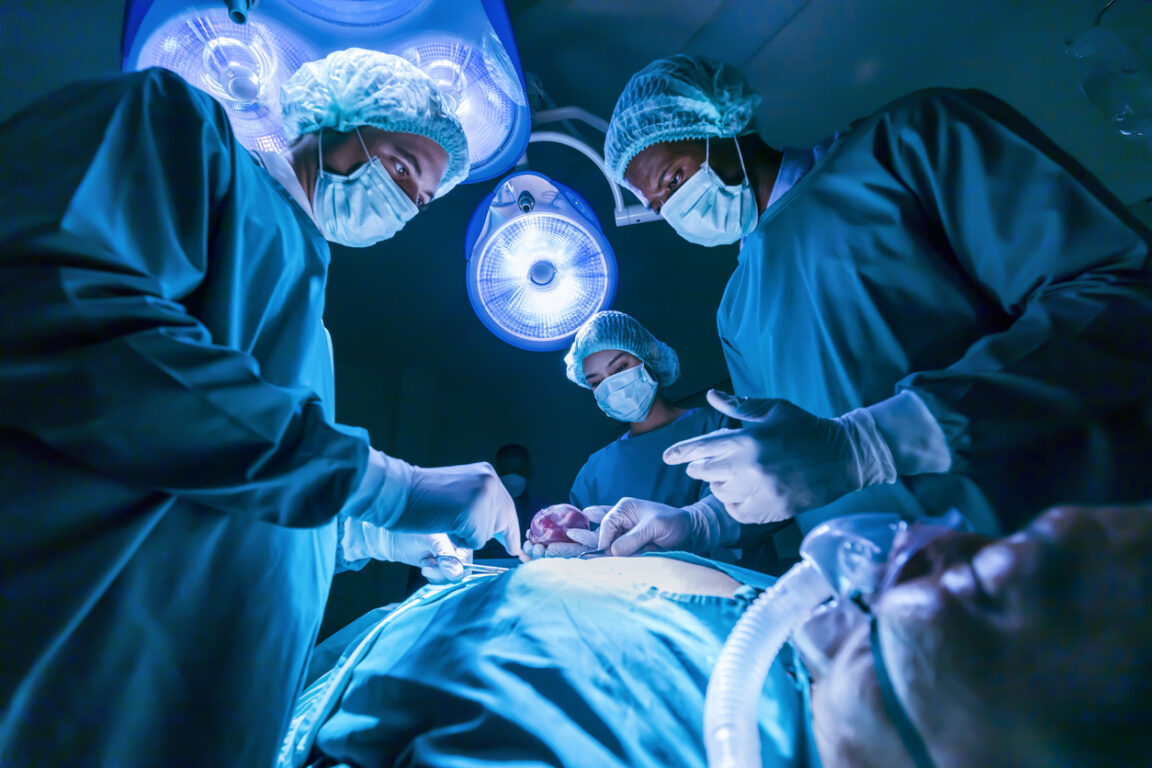 chirurgie greffe organe transplantation vessie