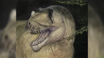 Tameryraptor markgrafi dinosaure