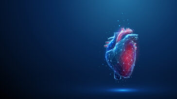 coeur cellules souches