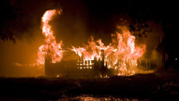 los angeles Starlink