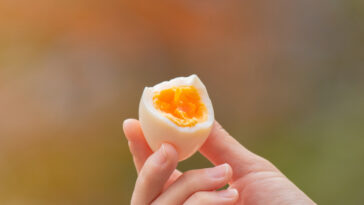 Manger des œufs durs temps de cuisson œuf