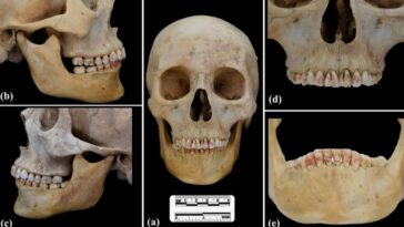 Princesse Rouge de la Route de la Soie dents cinabre