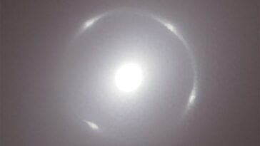 Euclid anneau Einstein