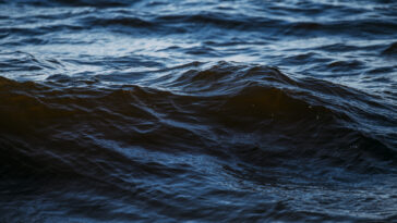 terriers océan fosse Pacifique