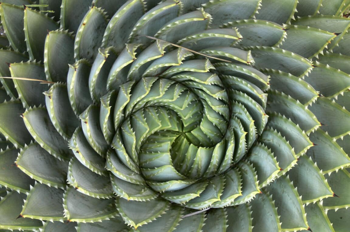 séquence de Fibonacci