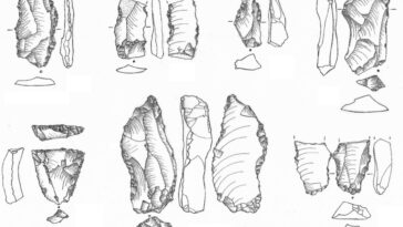 lames péninsule arabique