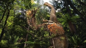 thérizinosaures griffes dinosaure