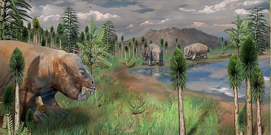 chine terre extinction