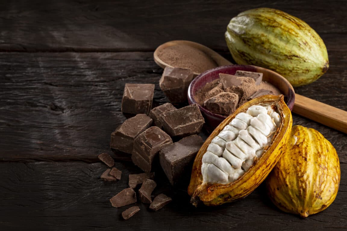 cacao chocolat