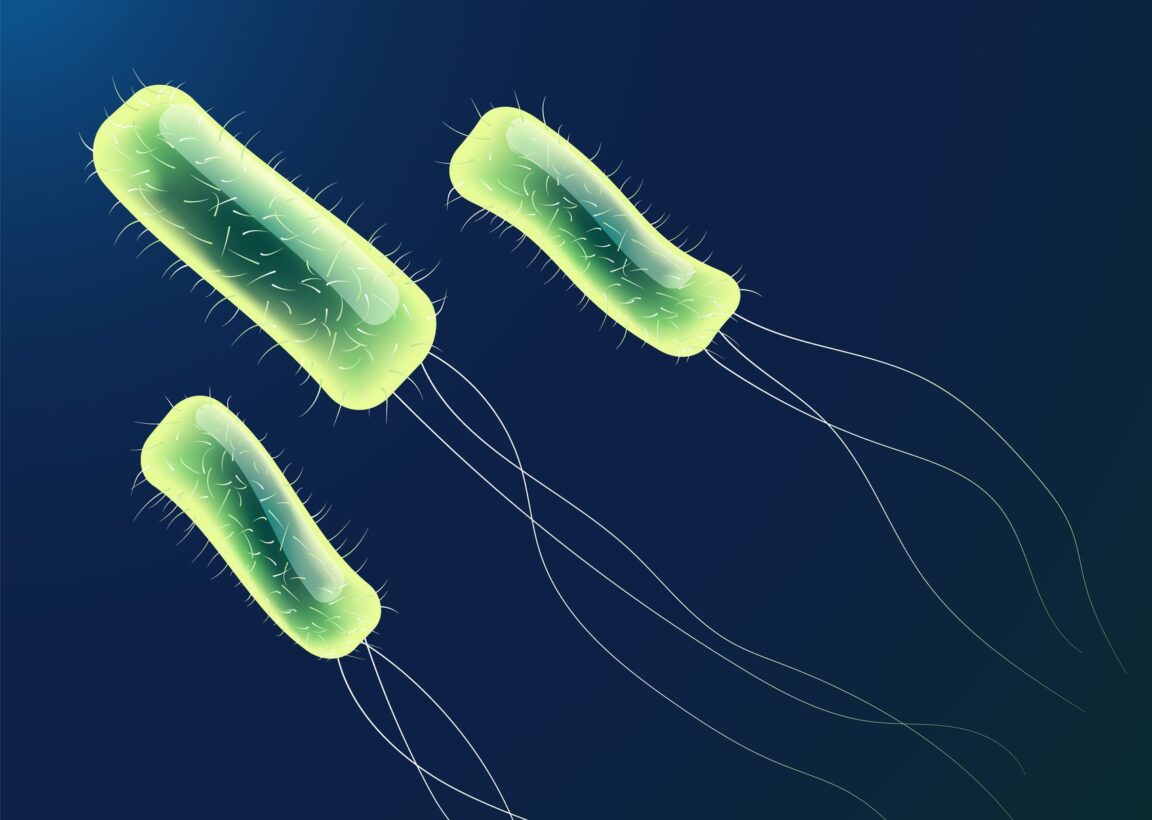 Helicobacter Pylori vie Mars