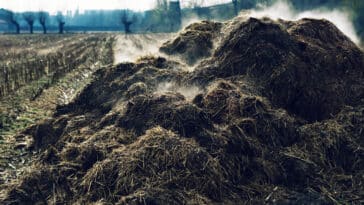 bouse de vache hydrogène