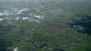 Everglades