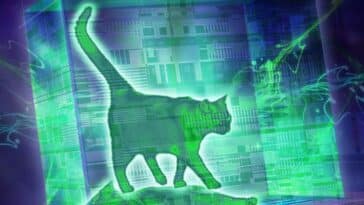 chat de Schrödinger