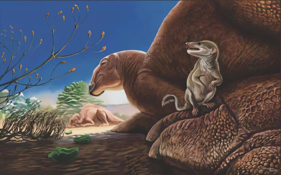 mammifère dinosaures