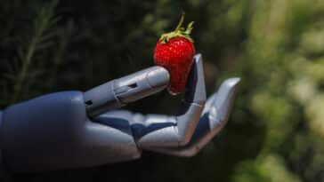 robot fraises