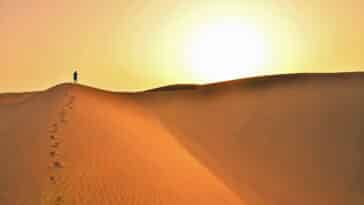 Sahara