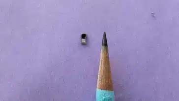 Le plus petit stimulateur cardiaque au monde