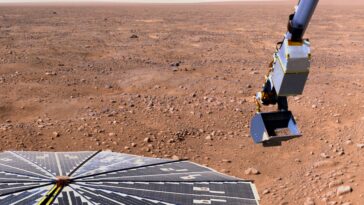 Phoenix microbes NASA