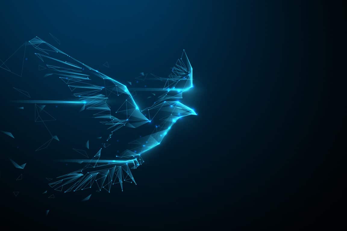 drones chine oiseaux